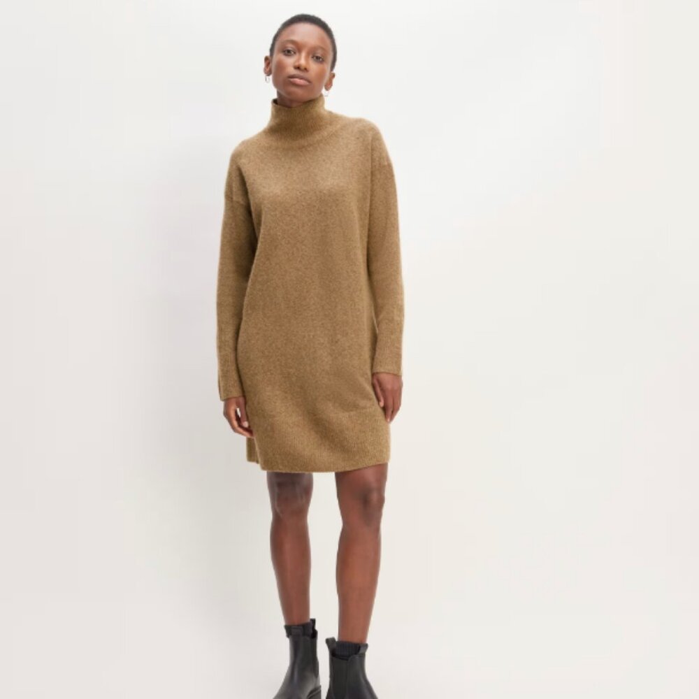 Everlane The Cozy Stretch Turtleneck Dress in Heathered Toasted Coconut